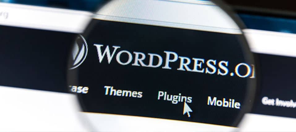 WordPress Plugins